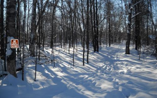 Parking conveniently located just off Winter Trail for summer hiking and winter cross country skiing.