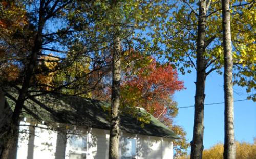Jenkins Township Hall