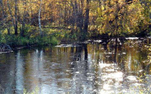 Pine River at bridge on CSAH15