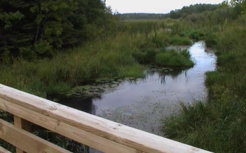 A pedestrian bridge over Hay Creek at Veteran's Walking Trail