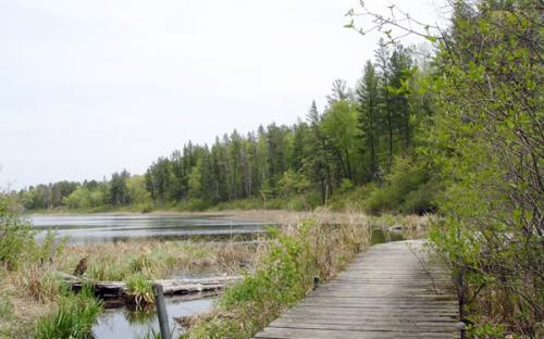 Uppgaard Wildlife Management Area