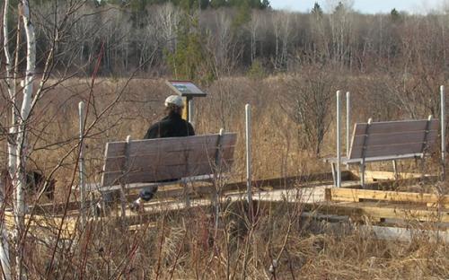 Benches on the Walkway give a view of the marshes and trail path to Whiskey Island.