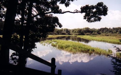 DNR Stripping Station
