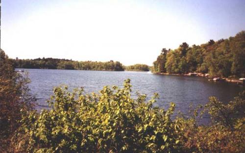 Loon Lake