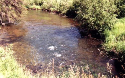 Pelican Brook
