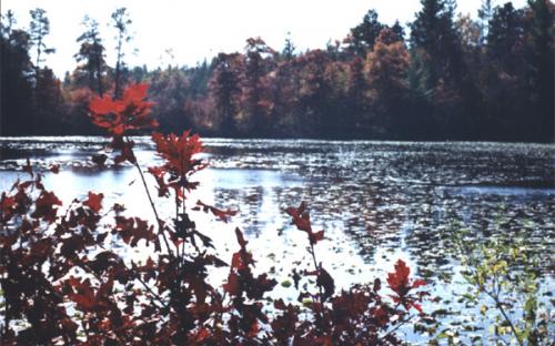 Uppgaard Wildlife Management Area