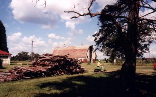 Willowhurst Farm