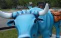 Babe the Blue Ox is a welcome sight in the garden, his saddlebags stuffed with vegetables.