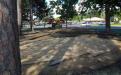 A leaf-patterned mosaic of stone beneath a tall canopy of pine trees, circle the inviting outdoor classroom area.
