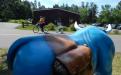 Discover more than flowers at Linda Ulland Memorial Gardens image 8