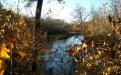 Pine River