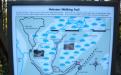 Trailhead map indicates paths, walkways as well as the flora and fauna.