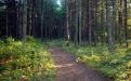 The Veterans Walking Trail is wide and welcoming.
