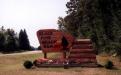 Black Pine Beach Resort