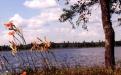 Deer Lake