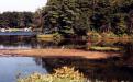 Rush Lake Floating Island