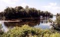 Rush Lake Floating Island