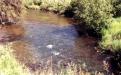 Pelican Brook
