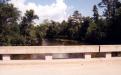 The Pine River