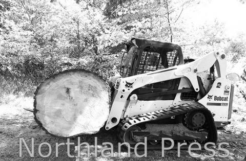 Northern Tree Services to make benches for Linda Ulland Memorial Gardens