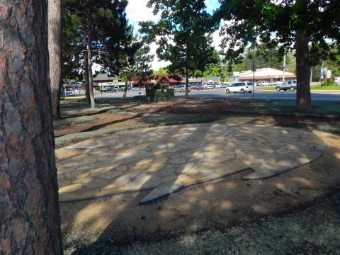 A leaf-patterned mosaic of stone beneath a tall canopy of pine trees, circle the inviting outdoor classroom area.