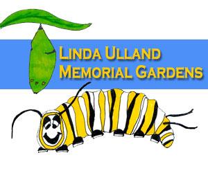 Fun Fact from the Garden image 5