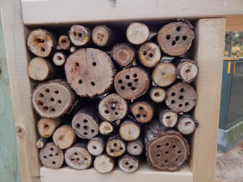 Bug houses, donated by Peggy Fowler, are installed near the entrance to Linda Ulland Memorial Gardens. Bug houses, donated by Peggy Fowler, are installed near the entrance to Linda Ulland Memorial Gardens.