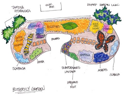 Butterfly Garden