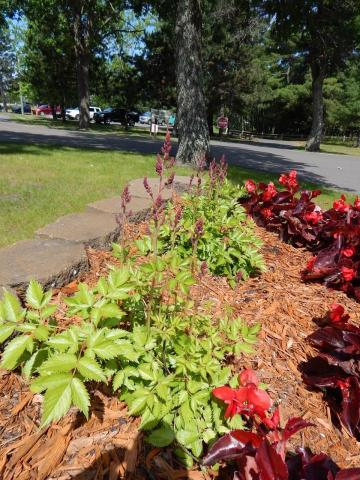 Discover more than flowers at Linda Ulland Memorial Gardens image 1
