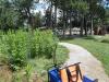 Foraging Garden at Linda Ulland Memorial Gardens